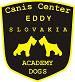 CCES